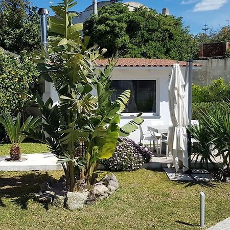 Casa Vacanza M&C Ischia Forio di Ischia Dış mekan fotoğraf
