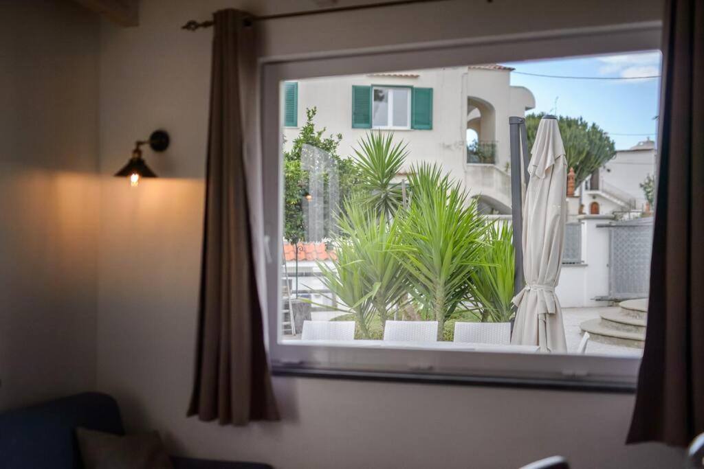 Casa Vacanza M&C Ischia Forio di Ischia Dış mekan fotoğraf