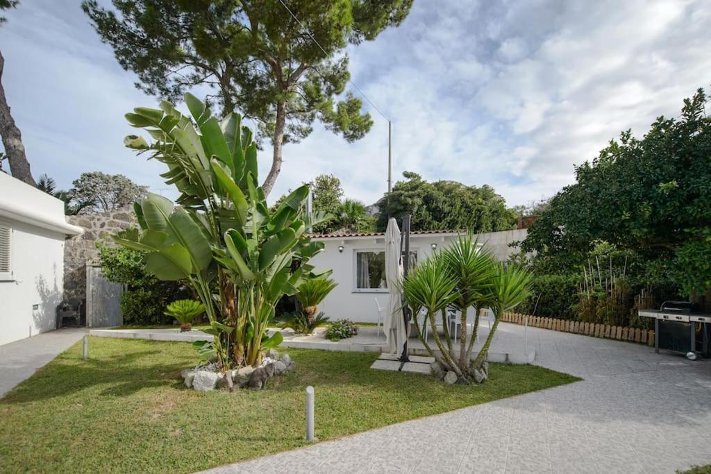 Casa Vacanza M&C Ischia Forio di Ischia Dış mekan fotoğraf