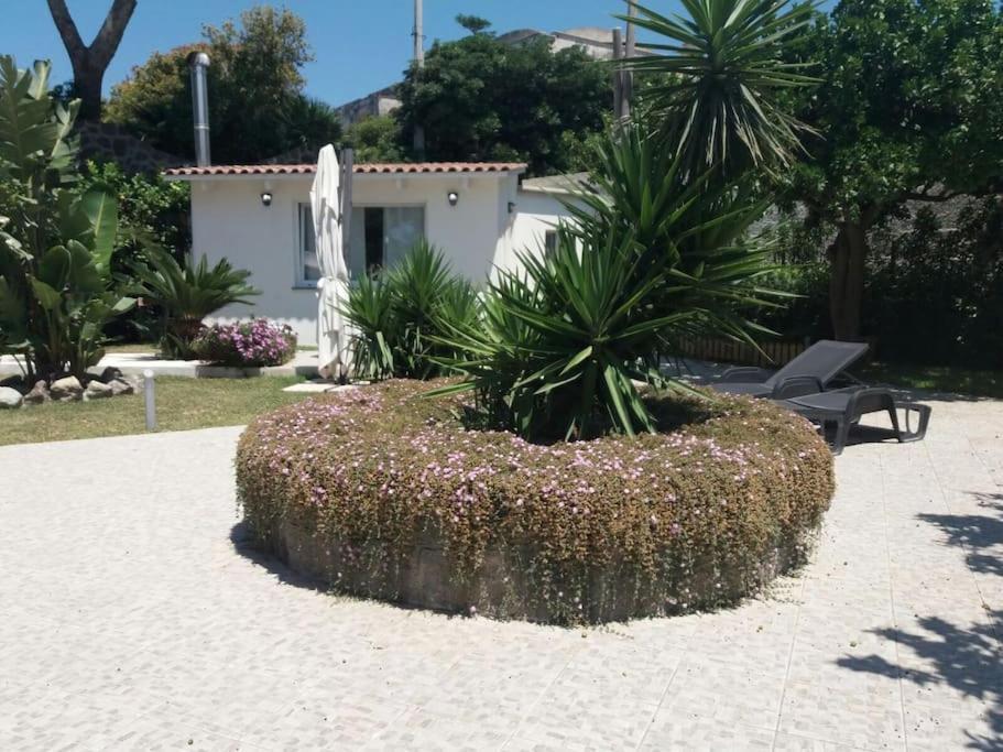 Casa Vacanza M&C Ischia Forio di Ischia Dış mekan fotoğraf