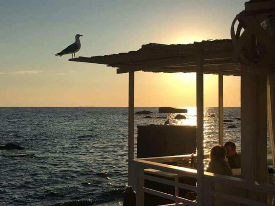 Casa Vacanza M&C Ischia Forio di Ischia Dış mekan fotoğraf