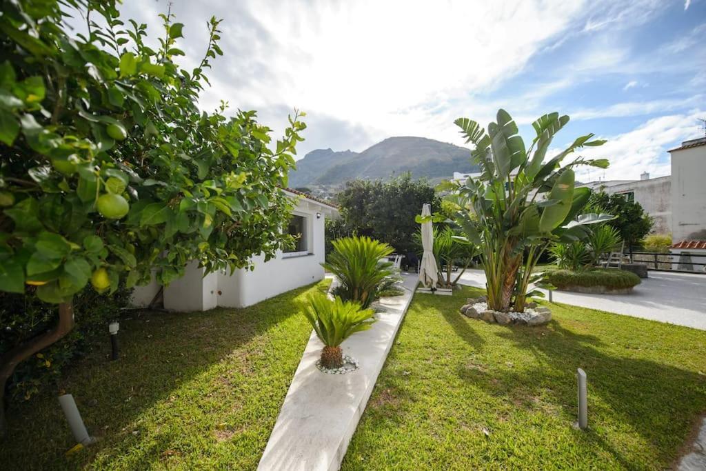 Casa Vacanza M&C Ischia Forio di Ischia Dış mekan fotoğraf
