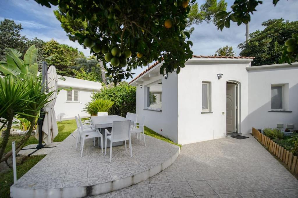 Casa Vacanza M&C Ischia Forio di Ischia Dış mekan fotoğraf